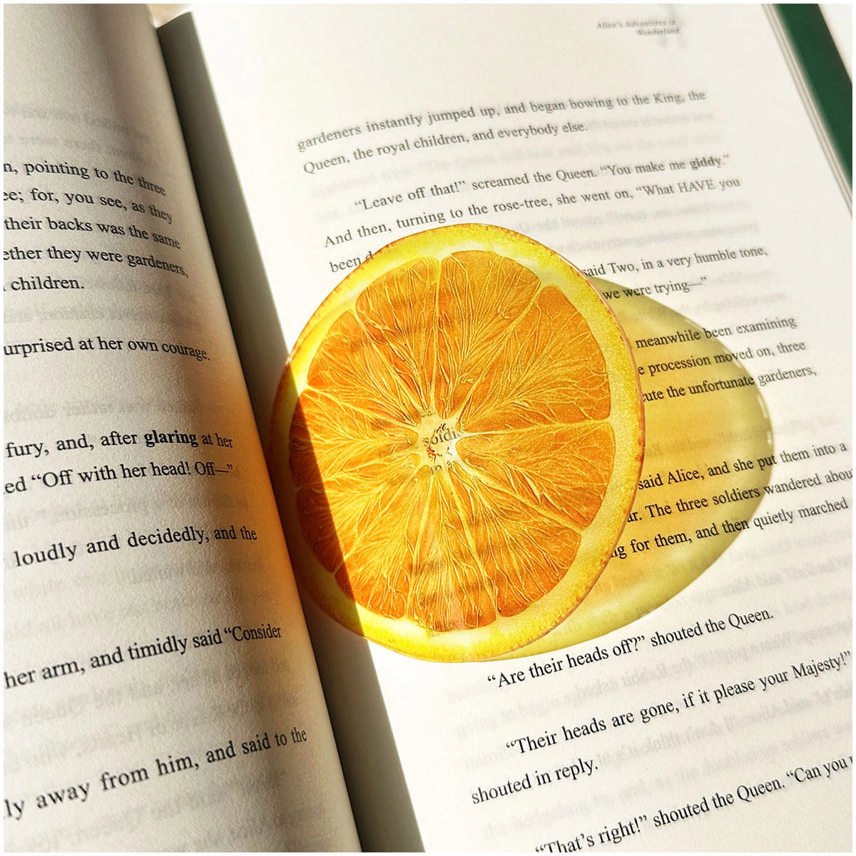Translucent Fruit Acrylic Bookmark - TRLab Shop