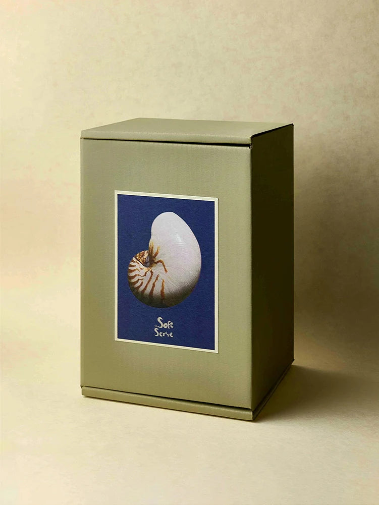 Coastal Seashell Ceramic Tea Cup - TRLab Shop