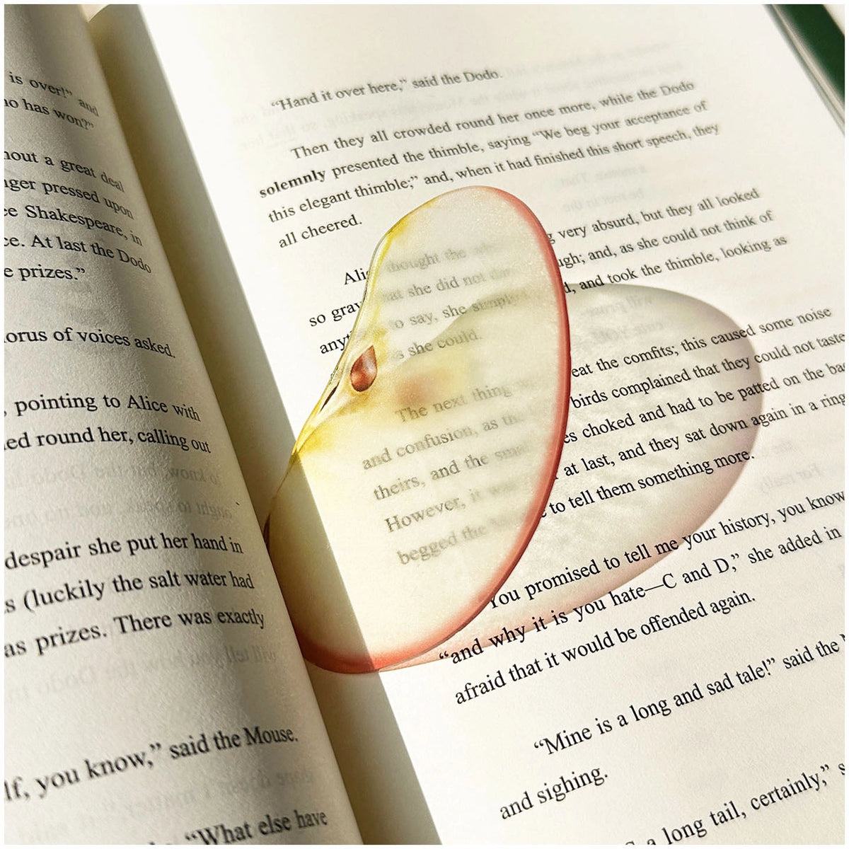 Translucent Fruit Acrylic Bookmark - TRLab Shop