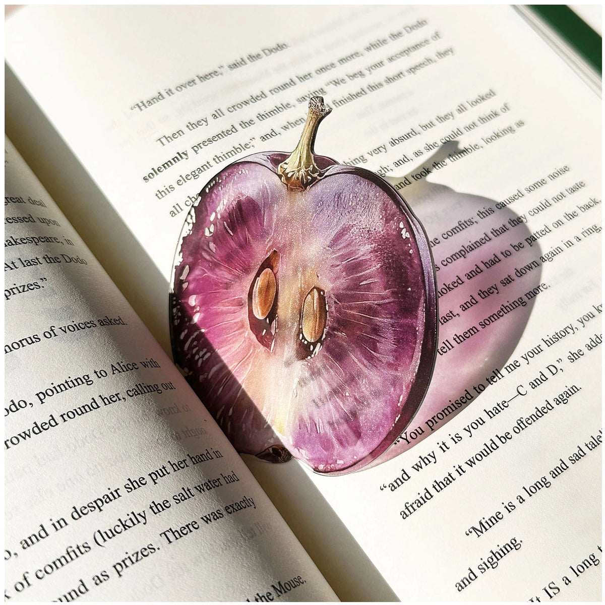 Translucent Fruit Acrylic Bookmark - TRLab Shop