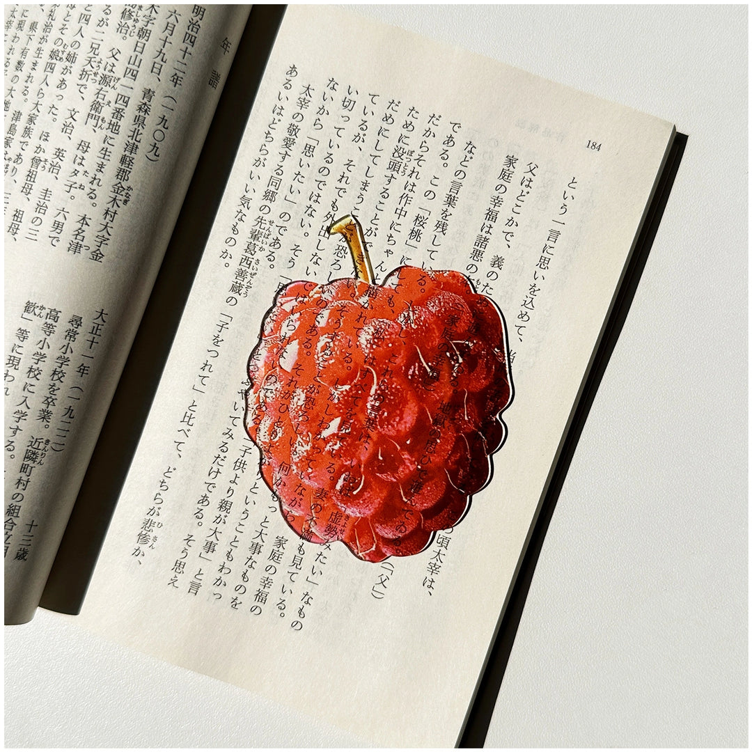 translucent-fruit-acrylic-bookmark