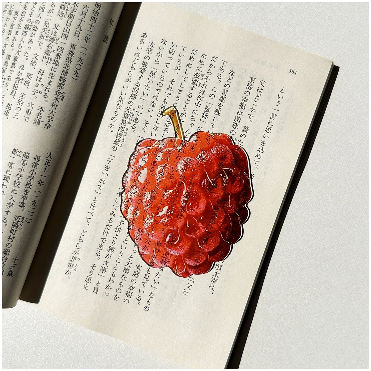 Translucent Fruit Acrylic Bookmark - TRLab Shop