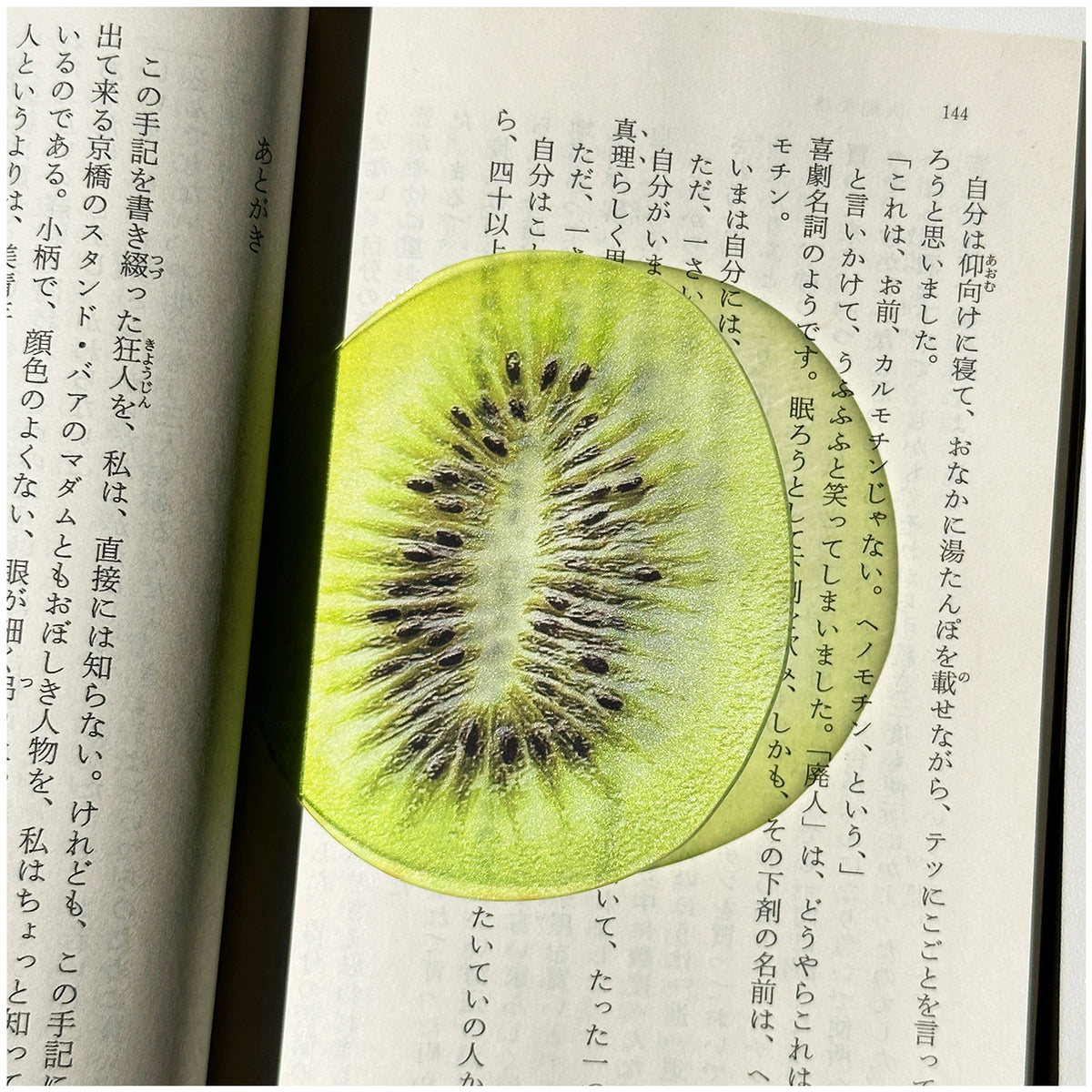 Translucent Fruit Acrylic Bookmark - TRLab Shop