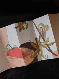 Traveler's Notebook Inserts x Artist Mochen