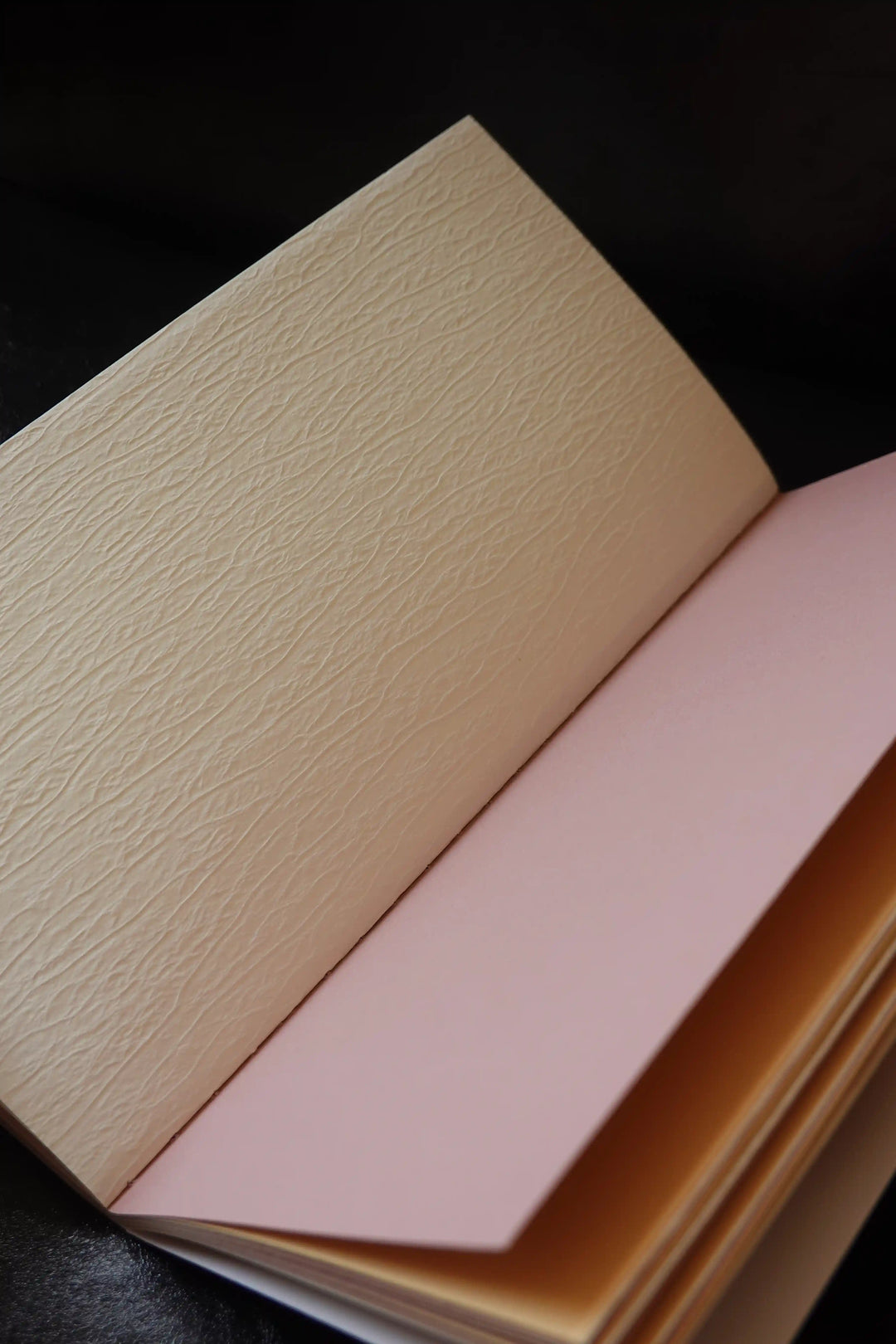 Traveler's Notebook Inserts x Artist Mochen