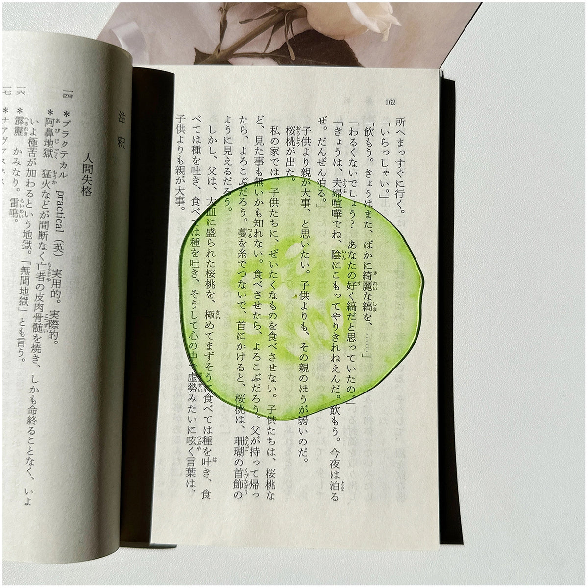 Translucent Fruit Acrylic Bookmark - TRLab Shop