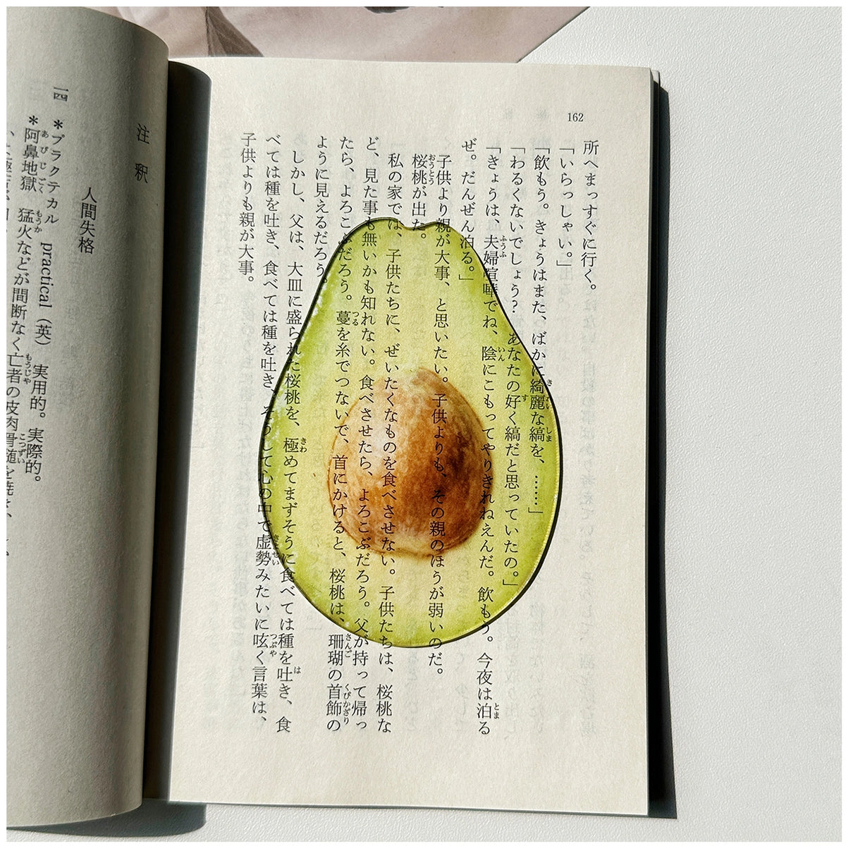 Translucent Fruit Acrylic Bookmark - TRLab Shop