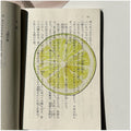 Translucent fruit-shaped acrylic bookmark with colorful fruit illustrations, ideal for marking pages in books.
