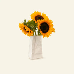 Vases