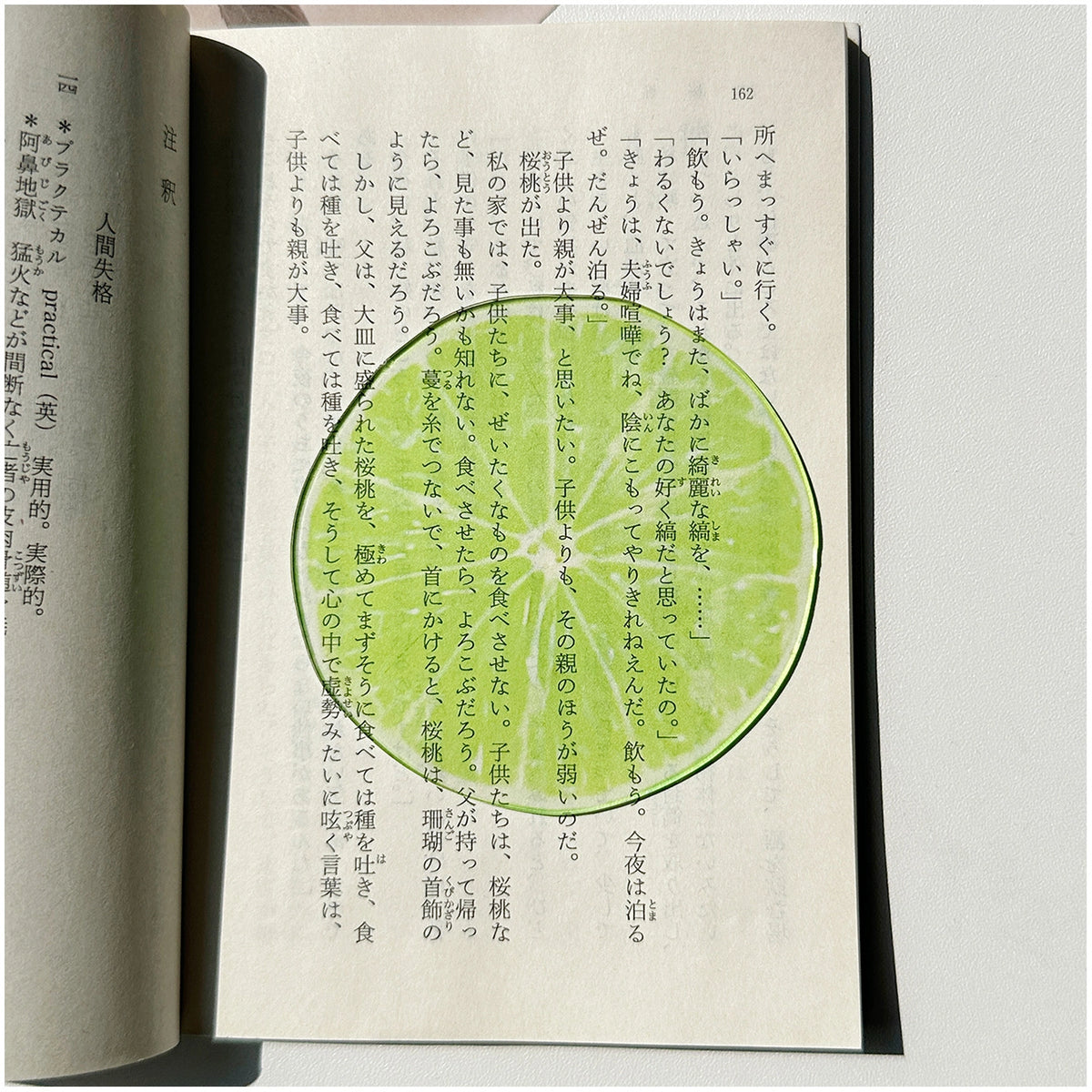 Translucent Fruit Acrylic Bookmark - TRLab Shop