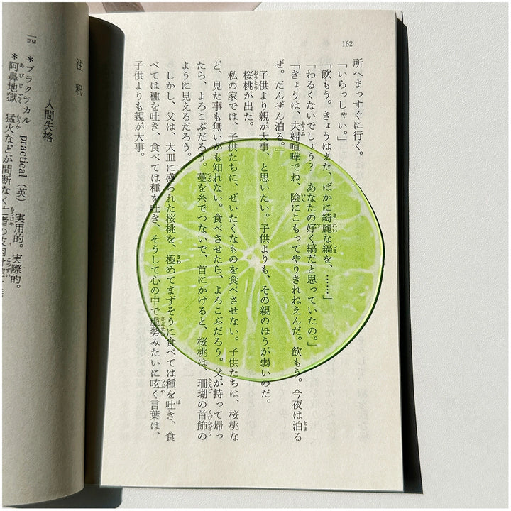 translucent-fruit-acrylic-bookmark