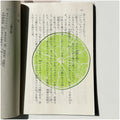 Translucent fruit-shaped acrylic bookmark with colorful fruit illustrations, ideal for marking pages in books.