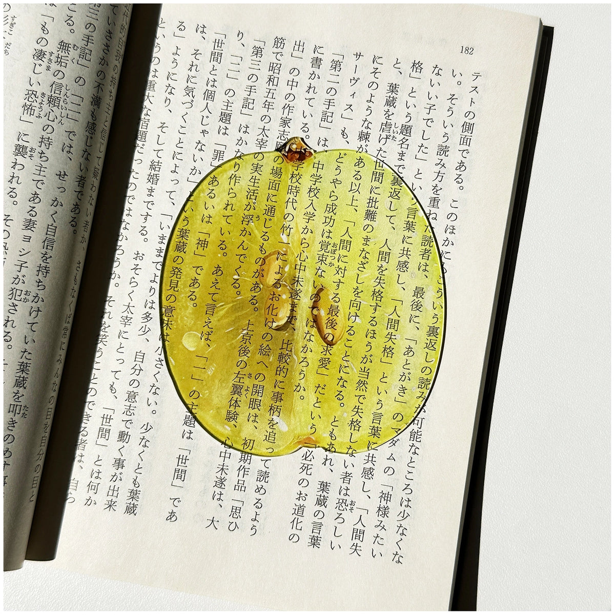 Translucent Fruit Acrylic Bookmark - TRLab Shop