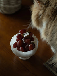 Milky-white glass bowl with smooth curved edges, ideal for serving or display, from TRLab Shop.