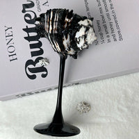 BlackPink Conch Wine Glass - TRLab Shop