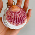 Natural Shell Memo Pad - TRLab Shop