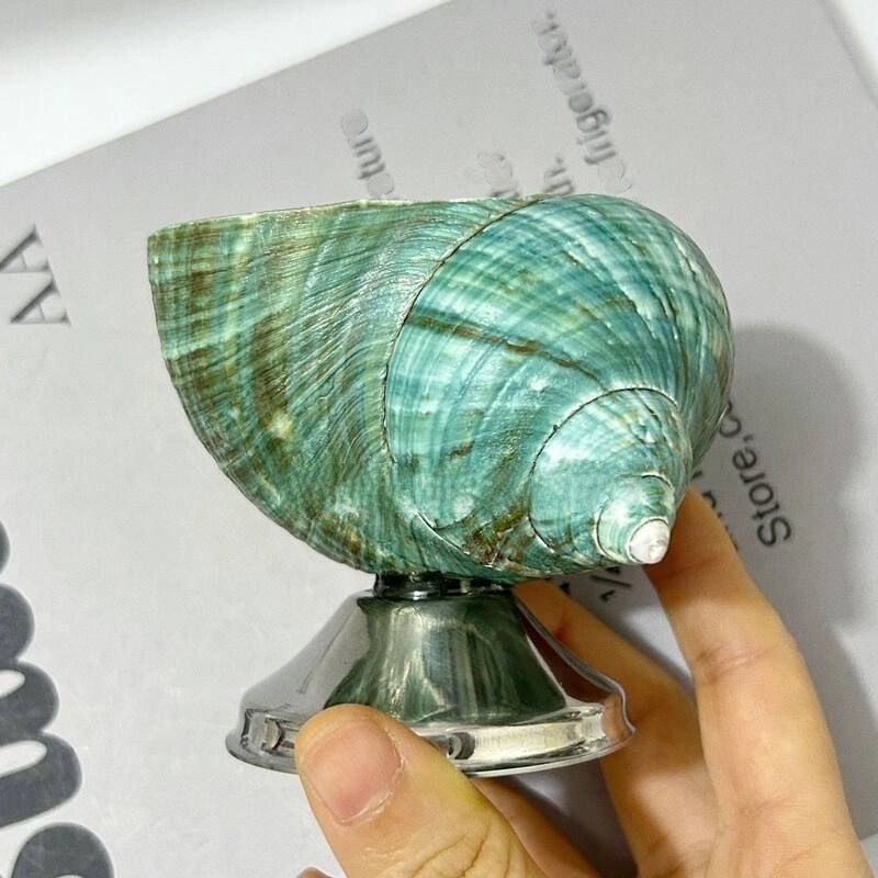 Silver & Green Conch Short-stemmed Wine Glass
