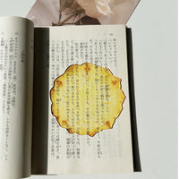 translucent-fruit-acrylic-bookmark