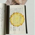 Translucent fruit-shaped acrylic bookmark with colorful fruit illustrations, ideal for marking pages in books.