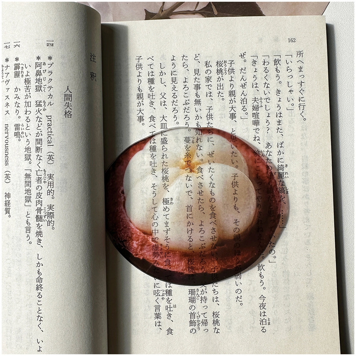 Translucent Fruit Acrylic Bookmark - TRLab Shop