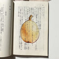 Translucent fruit-shaped acrylic bookmark with colorful fruit illustrations, ideal for marking pages in books.