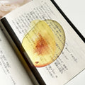Translucent fruit-shaped acrylic bookmark with colorful fruit illustrations, ideal for marking pages in books.