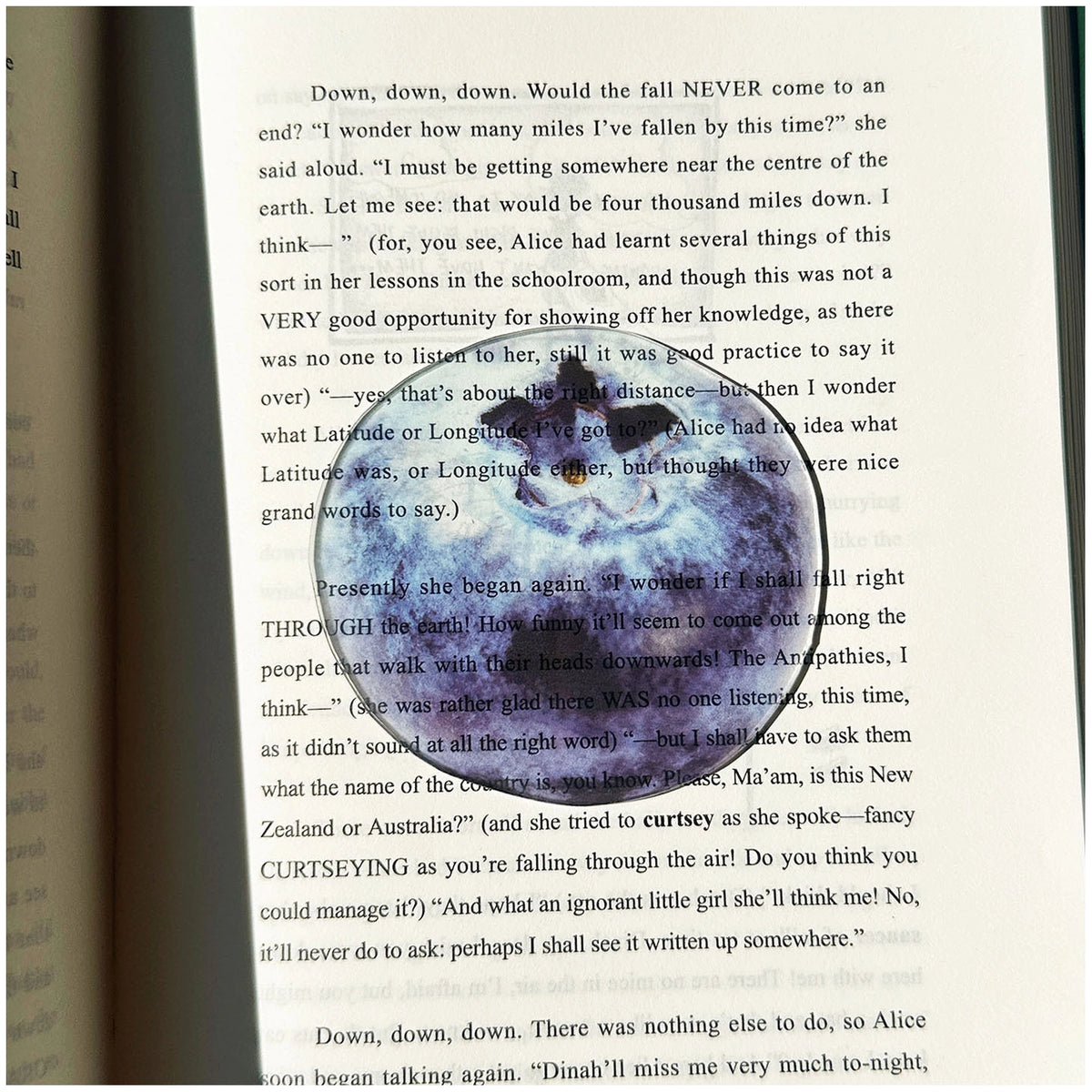 Translucent Fruit Acrylic Bookmark - TRLab Shop