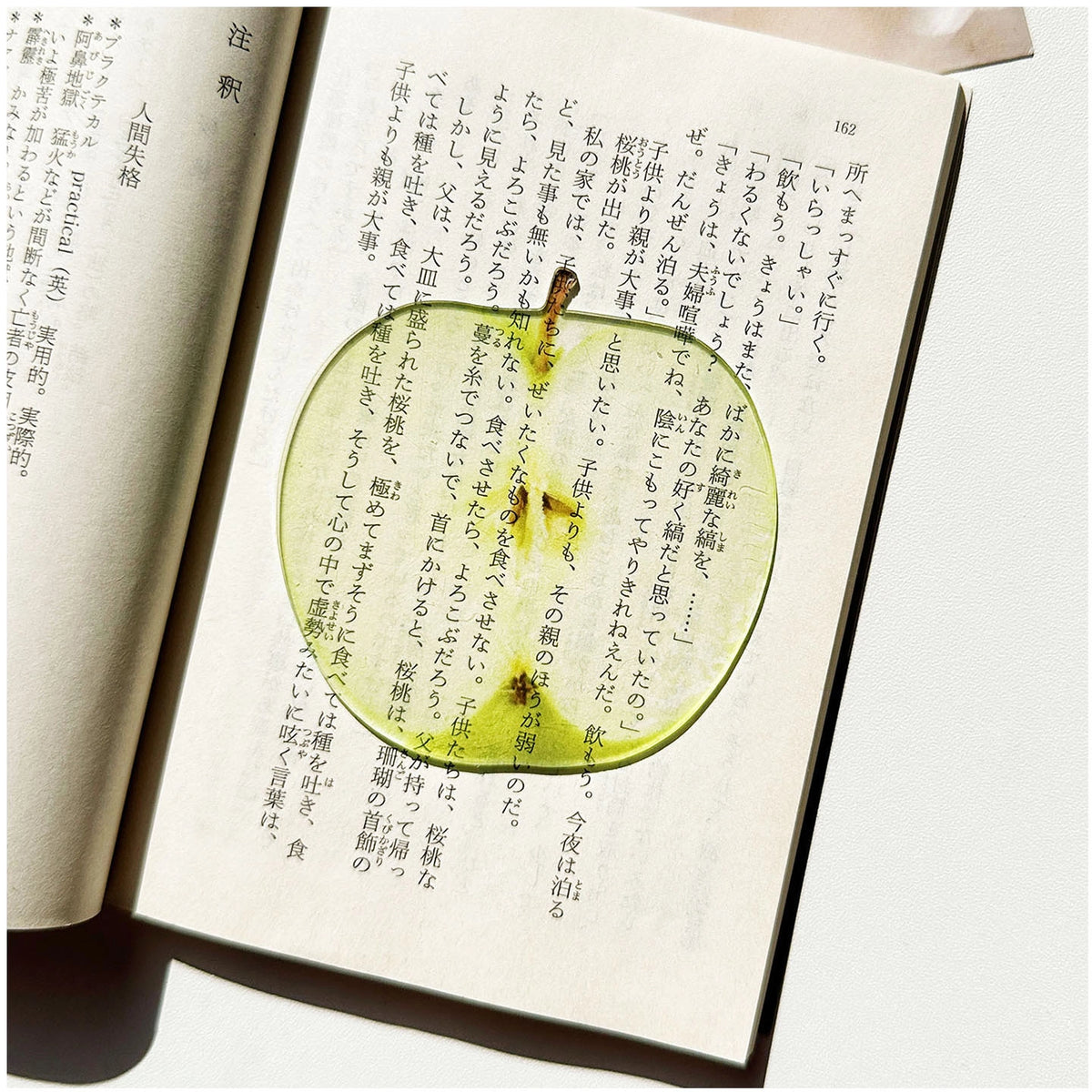 Translucent Fruit Acrylic Bookmark - TRLab Shop