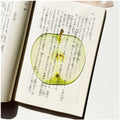 Translucent fruit-shaped acrylic bookmark with colorful fruit illustrations, ideal for marking pages in books.