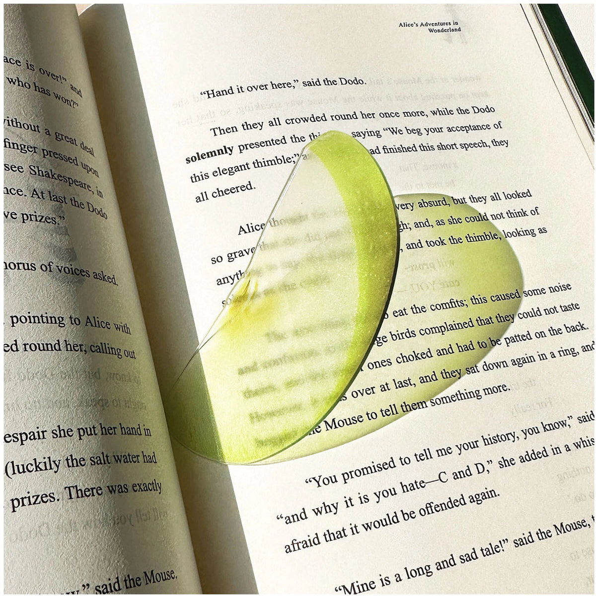 Translucent Fruit Acrylic Bookmark - TRLab Shop
