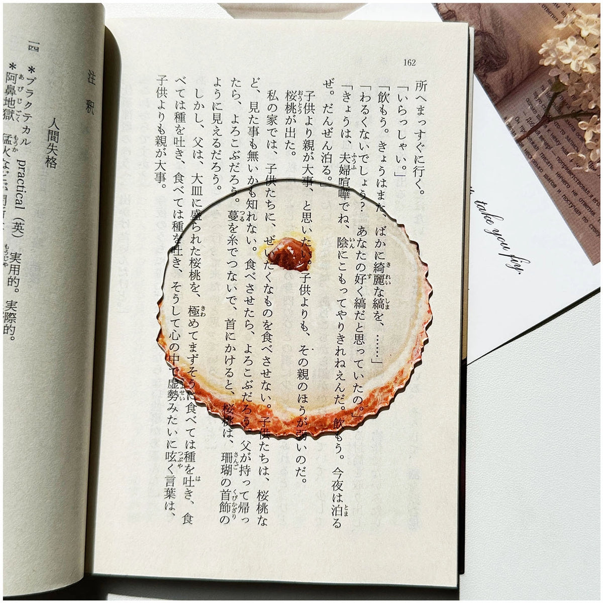 Translucent Fruit Acrylic Bookmark - TRLab Shop