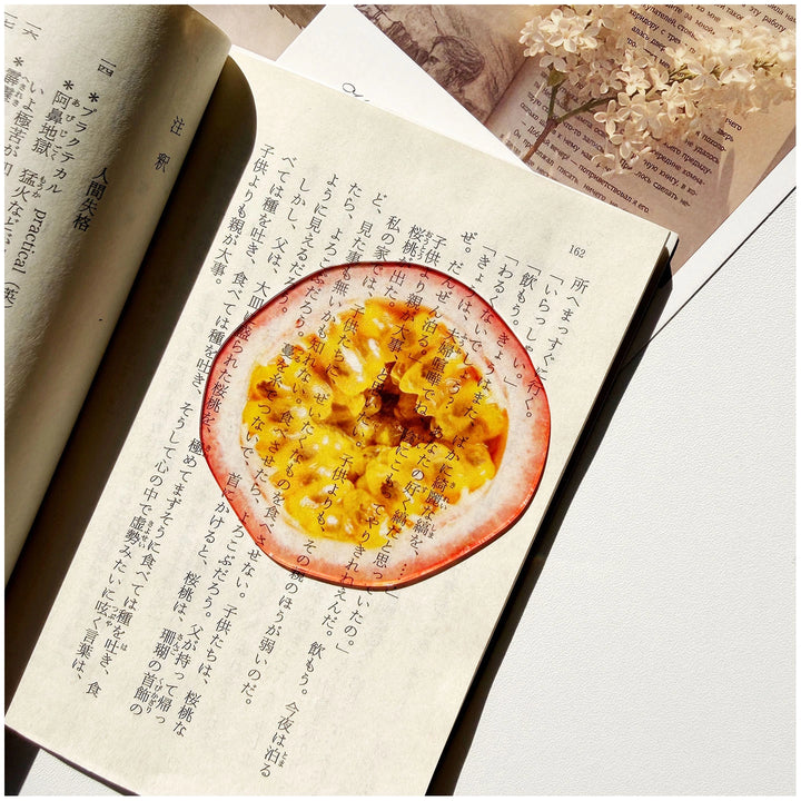 translucent-fruit-acrylic-bookmark