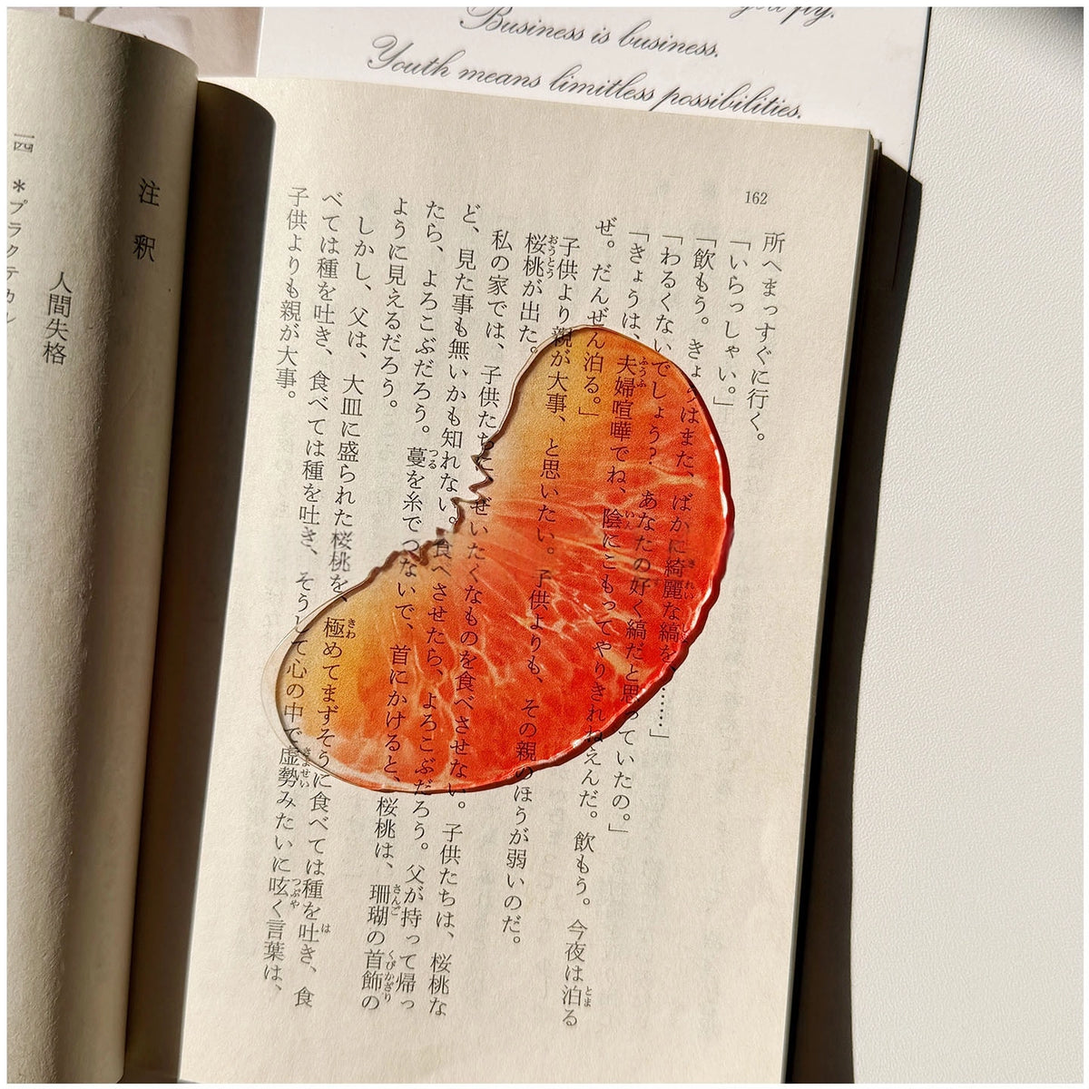 Translucent Fruit Acrylic Bookmark - TRLab Shop