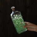 Fresh Daisies Glass Cold Brew Bottle