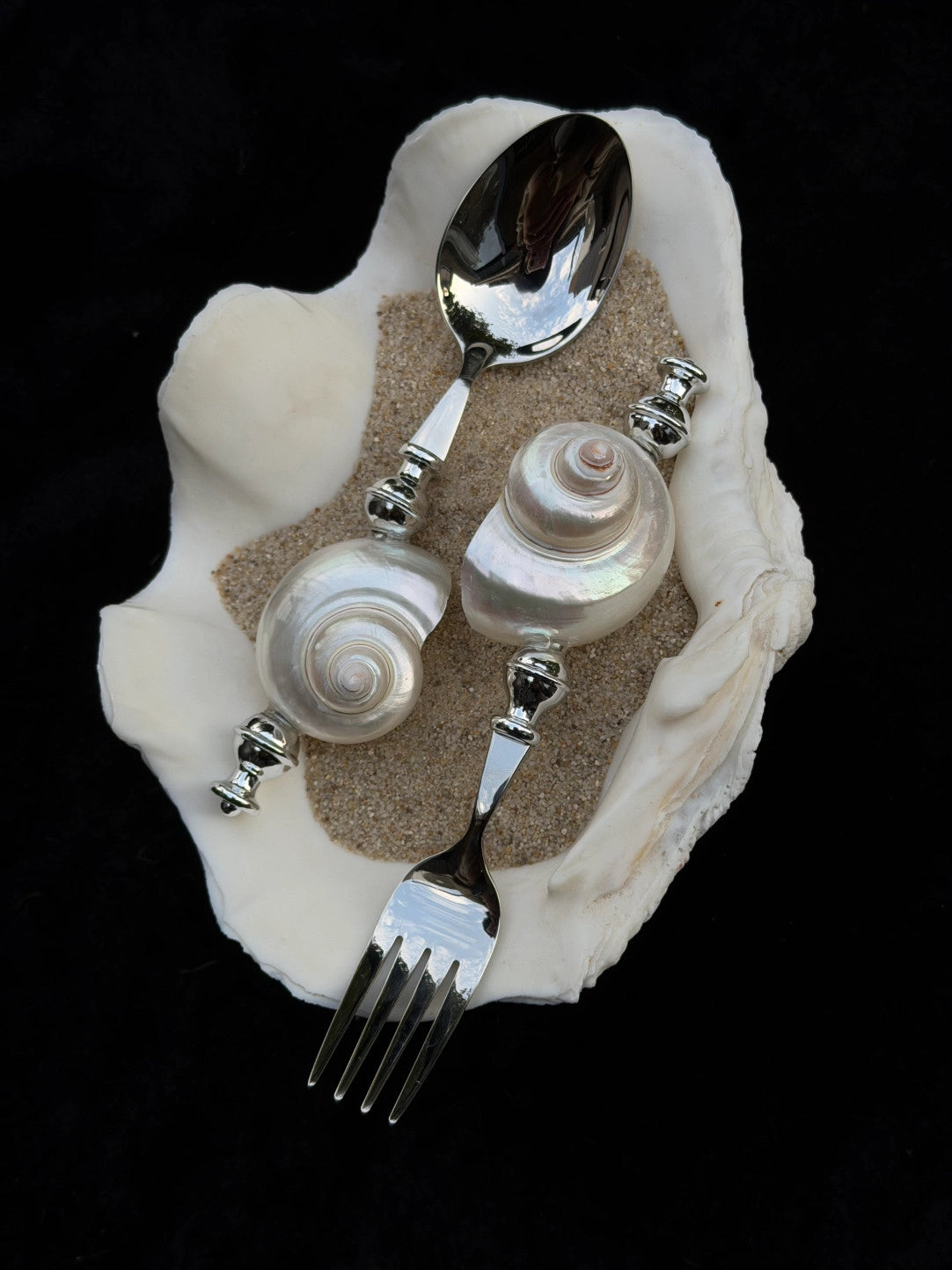 Moonlight Pearl Conch Stainless Steel Spoon & Fork - TRLab Shop