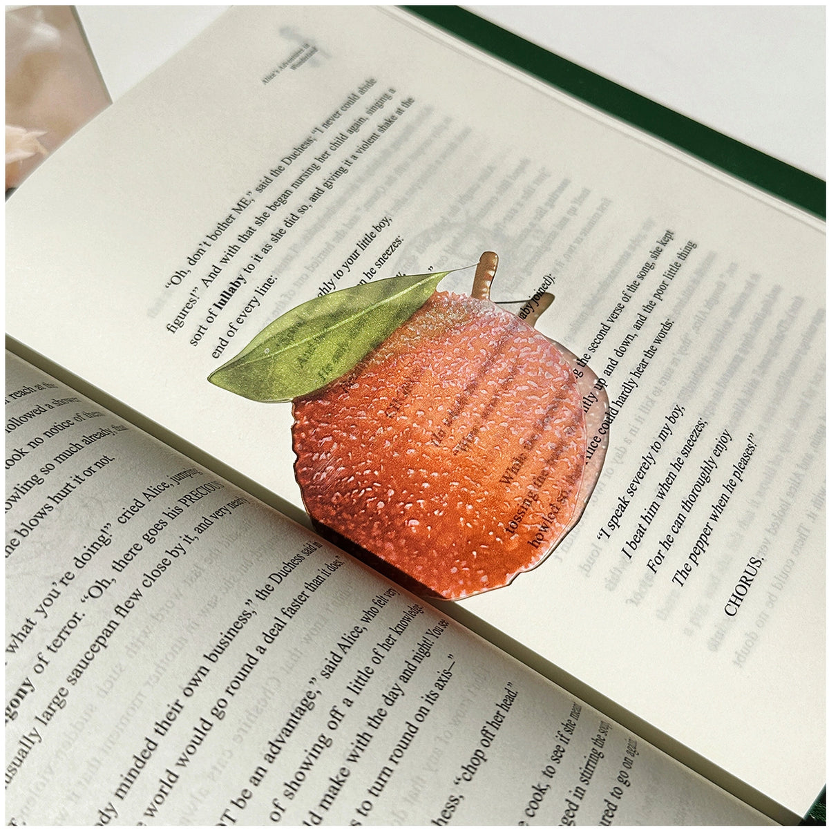 Translucent Fruit Acrylic Bookmark - TRLab Shop