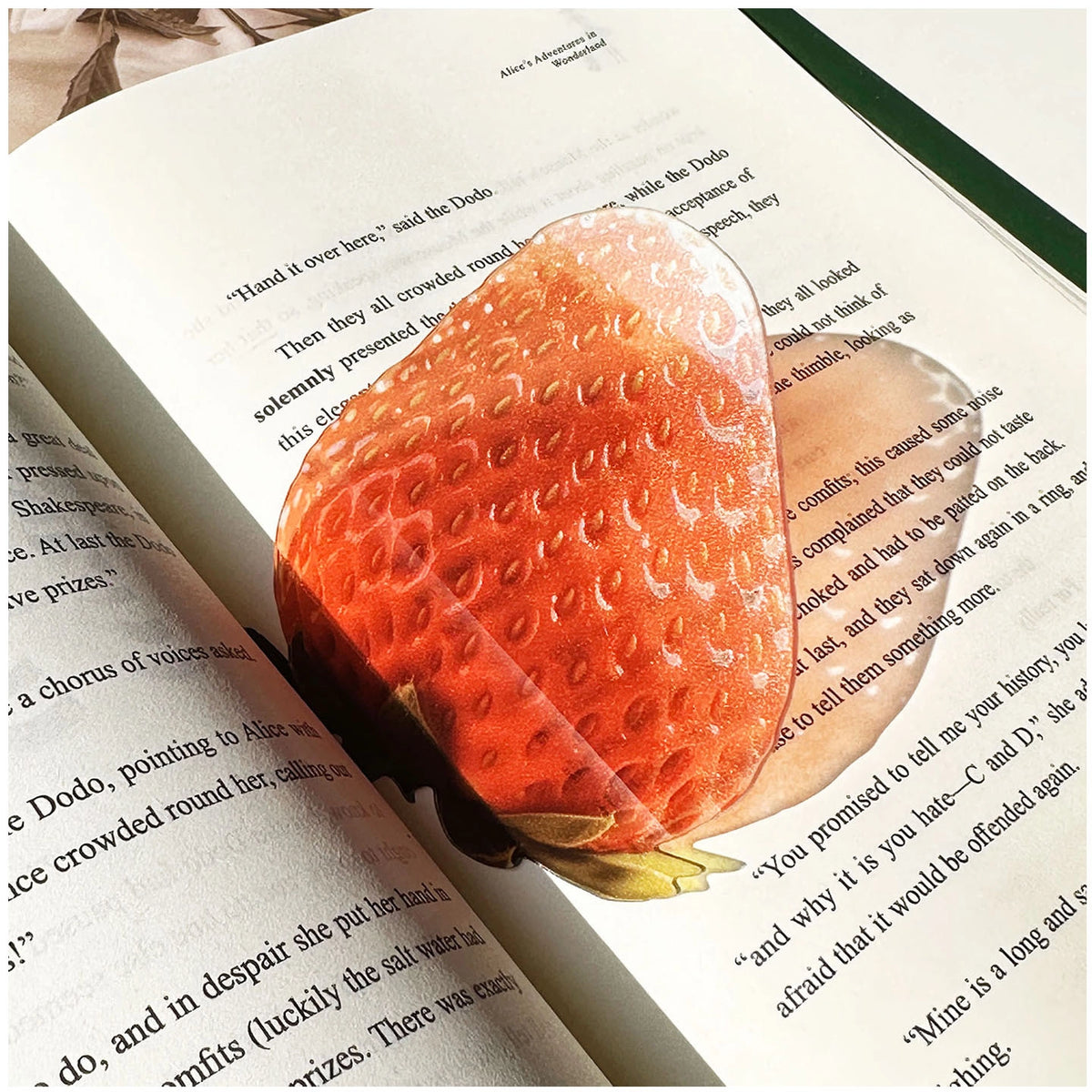 Translucent Fruit Acrylic Bookmark - TRLab Shop