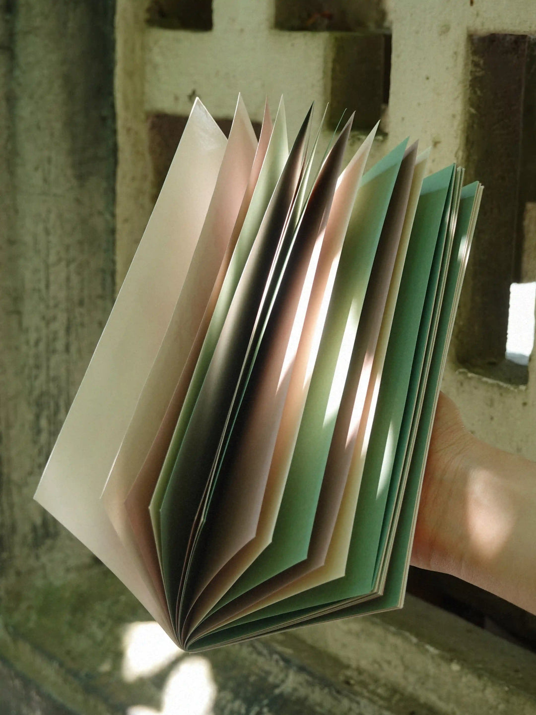 Traveler's Notebook Inserts Beijing Collection