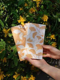 Traveler's Notebook Inserts Beijing Collection