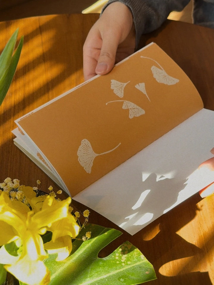 Traveler's Notebook Inserts Beijing Collection