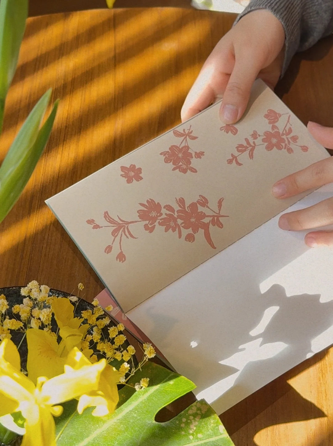 Traveler's Notebook Inserts Beijing Collection