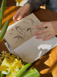 Traveler's Notebook Inserts Beijing Collection