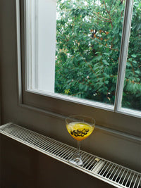 Linear Fruit Tinted Glass Wine Goblet - TRLab Shop