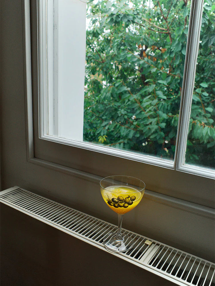 Linear Fruit Tinted Glass Wine Goblet - TRLab Shop