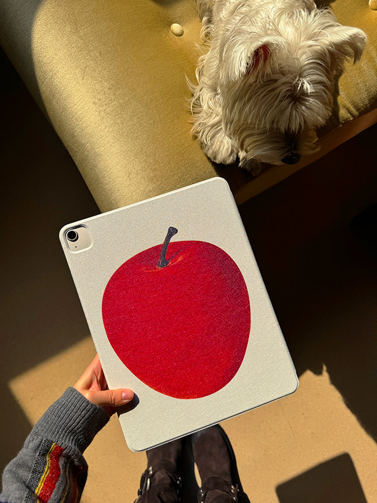 Patchwork & Apple iPad Case - TRLab Shop