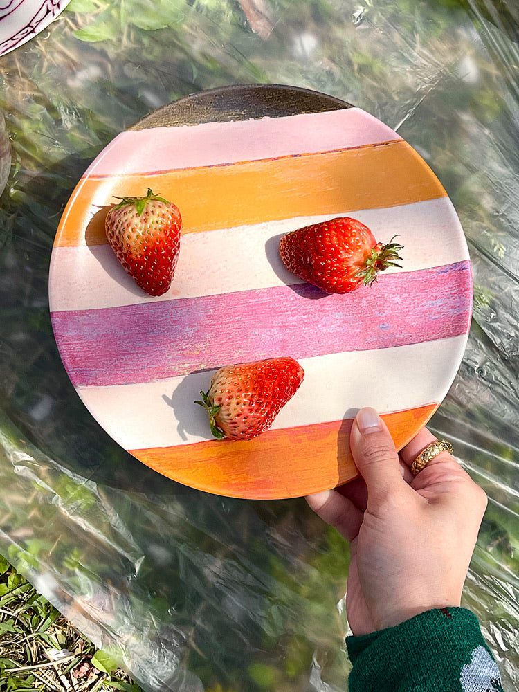 Red Cabbage & Pumpkin Stripe Plate - TRLab Shop