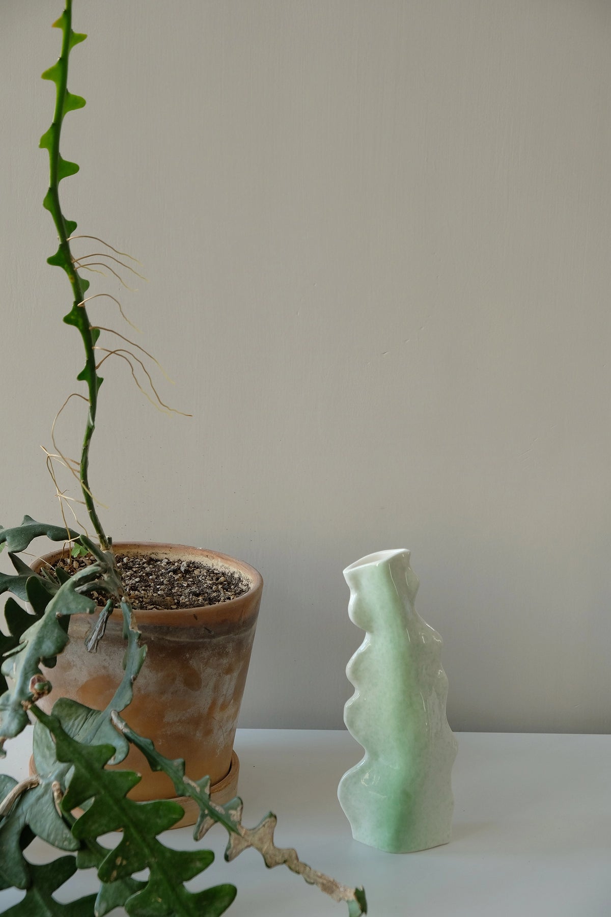 Ceramic Cactus-Shaped Vase - TRLab Shop