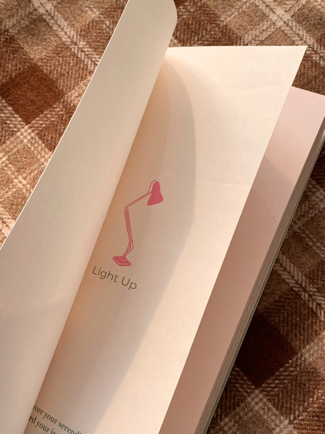 Traveler's Notebook Inserts Furniture Collection