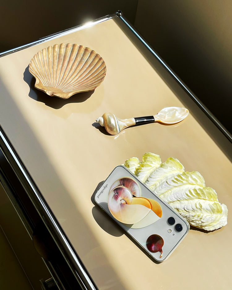 Shell & Onion Phone Case - TRLab Shop