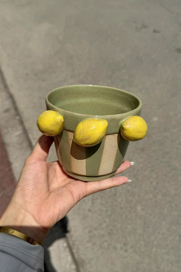 Three-Lemon Ceramic Flower Pot